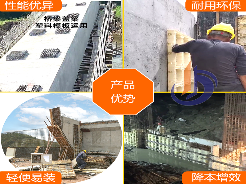 桥梁专用模板、现浇混凝土模板